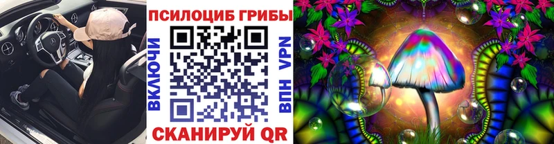 Псилоцибиновые грибы Psilocybine cubensis  Саратов 